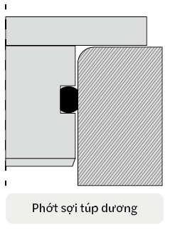 Male Gland Seal